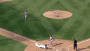 Pete Alonso Baseball GIF by New York Mets