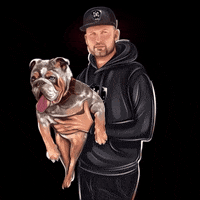 APB_Bulldogs apb bulldogs bulldog king pharaoh merle GIF