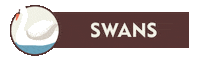22StreetLane swans 22 street lane nursery logo 22sln logo 22 street lane nursery branding Sticker