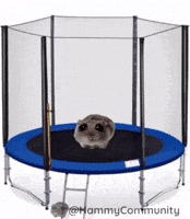 Coin Astronaut GIF by Sad Hamster
