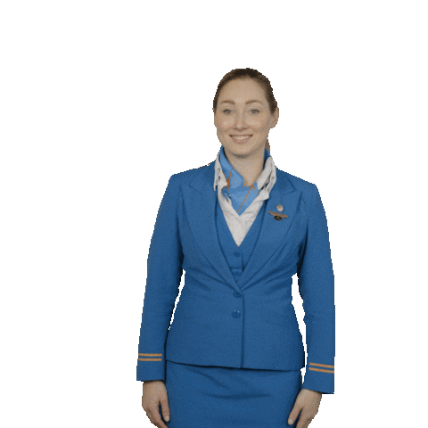 Cabin Crew Goodbye Sticker by KLM