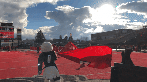 Football College GIF by Eastern Washington University