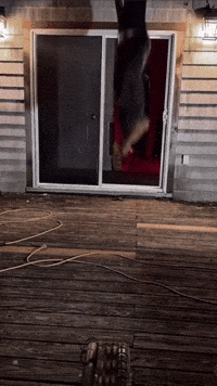 Falvotrenz GIF