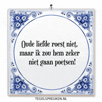Humor Nl GIF by Tegelspreuken.nl