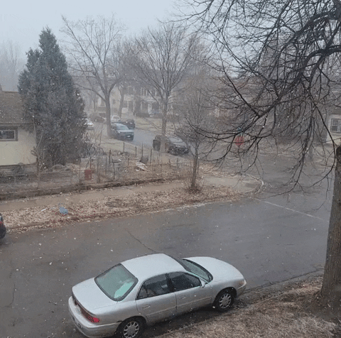 rakastettu snow march spring snowshowers GIF