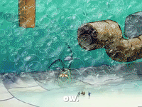 season 5 GIF by SpongeBob SquarePants