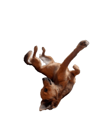 I Love You Lets Do This Sticker by Breathing Room