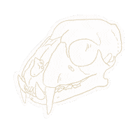 ofeliadesignstudio halloween animal scary creepy Sticker