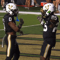 Celebrate Vanderbilt Football GIF by Vanderbilt Athletics