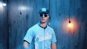 University Of North Carolina Baseball GIF by UNC Tar Heels