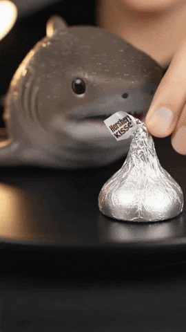 Trending Vibe GIF by Darwin