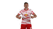 Football Sport Sticker by RB Leipzig