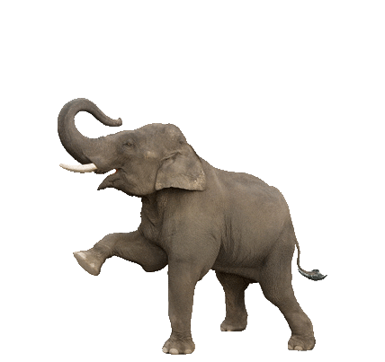 trunk club pool Sticker