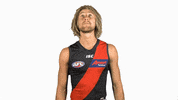 essendonfc dons bombers essendon essendon fc GIF