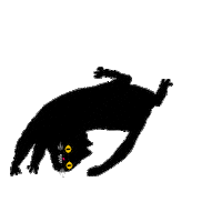 Cat Spinning Sticker by FRUGIT