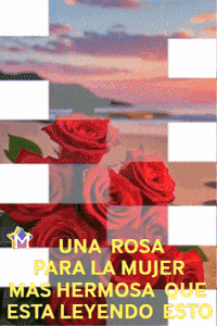 Sol Amigos GIF by Murcianys LLC