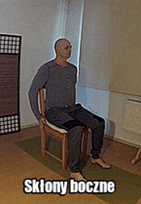 darekmajchrzak giphyupload health chair spine GIF