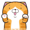dance cat GIF by MochiDad