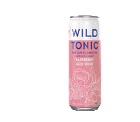 Jun Kombucha Sticker by WildTonic