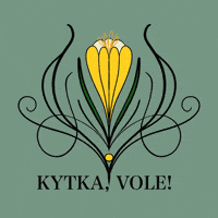 Kytka Vole GIF