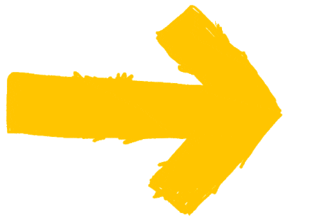 Adifl Sticker by Dogs Trust