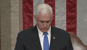Election 2020 Insurrection GIF by GIPHY News
