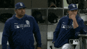 major league baseball sport GIF by MLB
