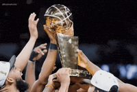 PositiveKnicks positiveknicks positively knicks knicks larry obrien trophy knicks holding nba trophy GIF
