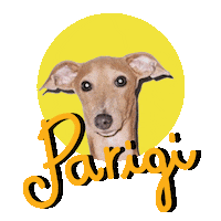 coccolebimbi dog italy store milano Sticker