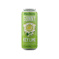 BigStormBrewery beer sunshine sunny craft beer Sticker