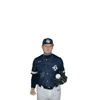 Clarke Baseball Sticker by Clarke University