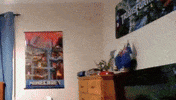 Monkey Shooting GIF