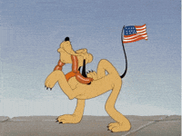 American Flag Dog GIF