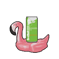 Pool Party Summer Sticker by Red Bull