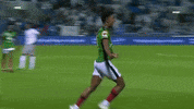 Celebration Goal GIF by Ettifaq