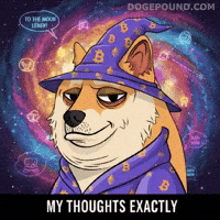 To The Moon Agree GIF by Doge Pound