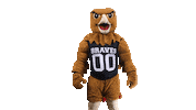 Mascot Pembroke Sticker by UNCP Braves Athletics