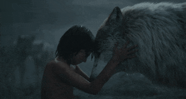 jon favreau disney GIF by Disney's The Jungle Book