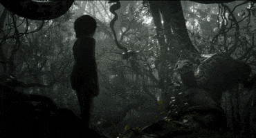 jon favreau disney GIF by Disney's The Jungle Book