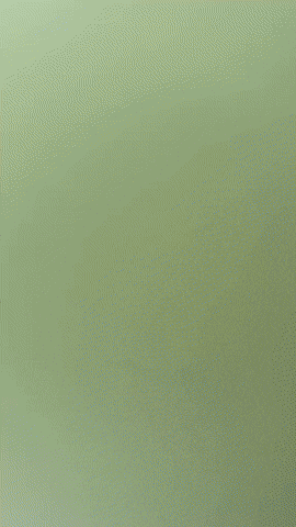 Godzilla Plushie GIF by Youtooz