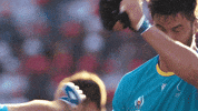 World Rugby Win GIF by Rugby World Cup