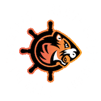 tigerbaybrawlers roller derby cardiff rollerderby tbb Sticker