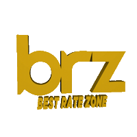 brzinsurance brazil insurance seguros brz Sticker