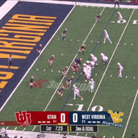Touchdown Utah GIF