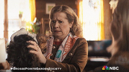 Season 1 Dog GIF by NBC