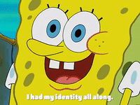 season 3 missing identity GIF by SpongeBob SquarePants