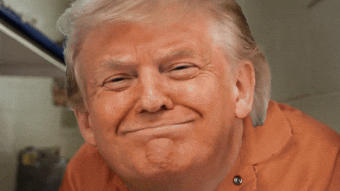 Donald Trump GIF