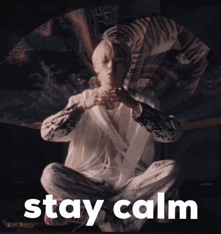 Skz Stay Calm GIF