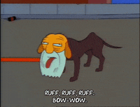 season 3 dog GIF