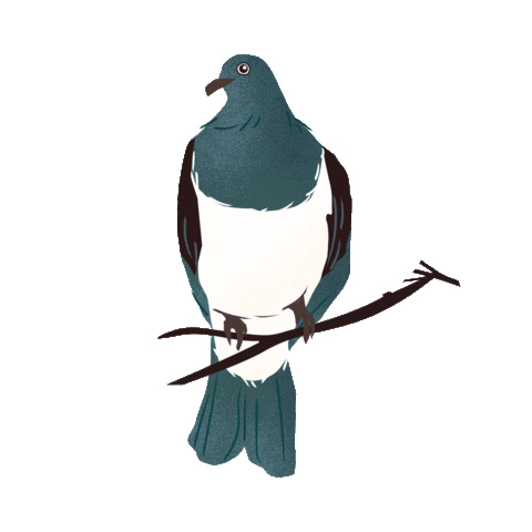 ZedenCider giphyupload drink new zealand nz Sticker